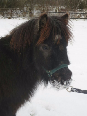 2 Familien teilen sich für Hugon