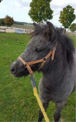 Zwei Schwestern übernehmen die Patenschaft für Lolita